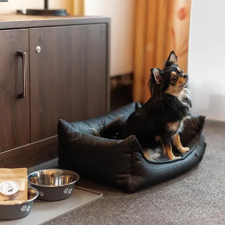 Familienapartment Am Neumarkt Lll *