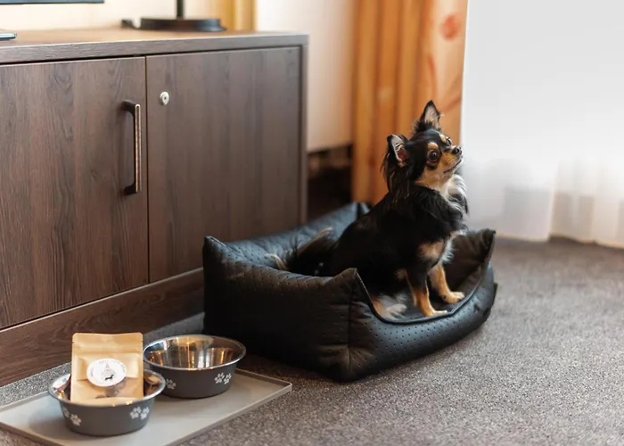 Familienapartment Am Neumarkt Lll *